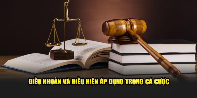 Điều khoản áp dụng khi tham gia cá cược