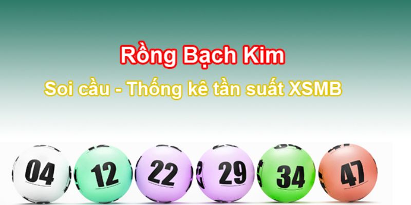 Giới thiệu về công cụ hỗ trợ soi cầu Rồng Bạch Kim.