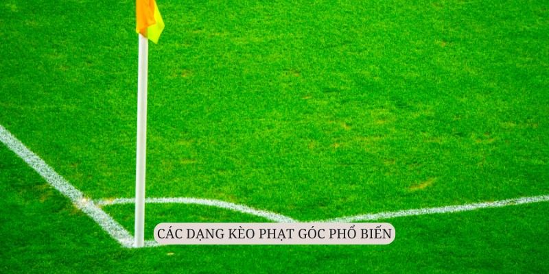 Cược chấp phạt góc với cách chơi độc đáo, lôi cuốn